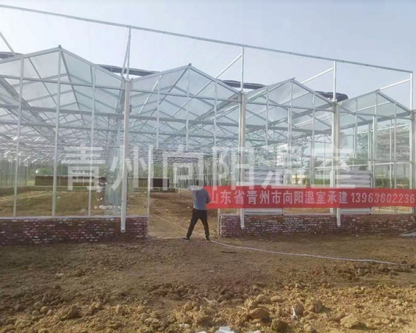 河南信陽(yáng)金蠶寶寶親子樂園